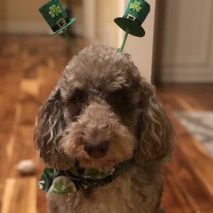 Meet the posher, Jill